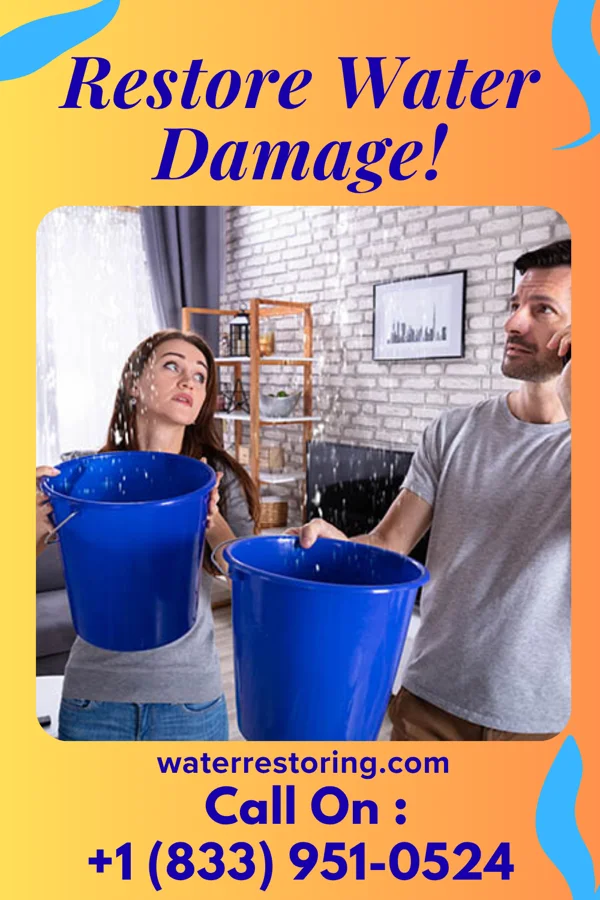 water restoration Stellar Flood Damage LLC Oklee