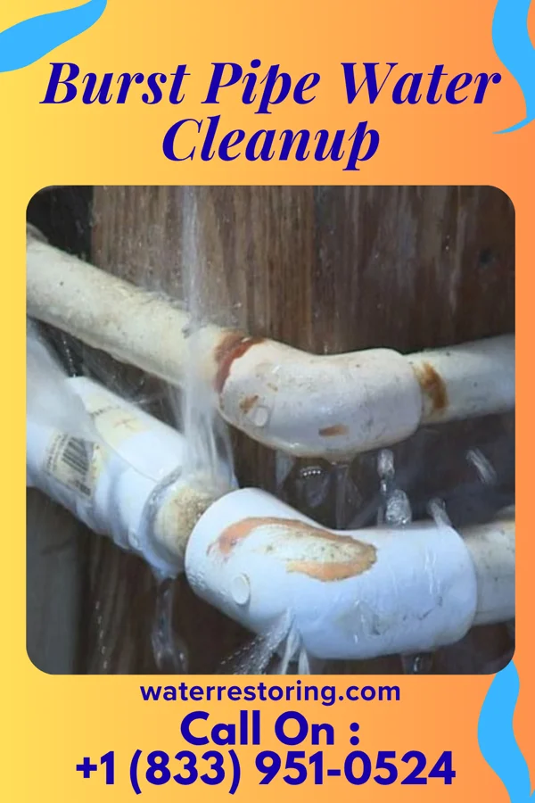 Burst Pipe Water Cleanup in Oklee, MN
