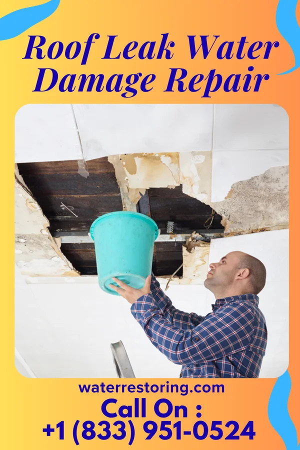 Roof Leak Water Damage Repair in Oklee, MN