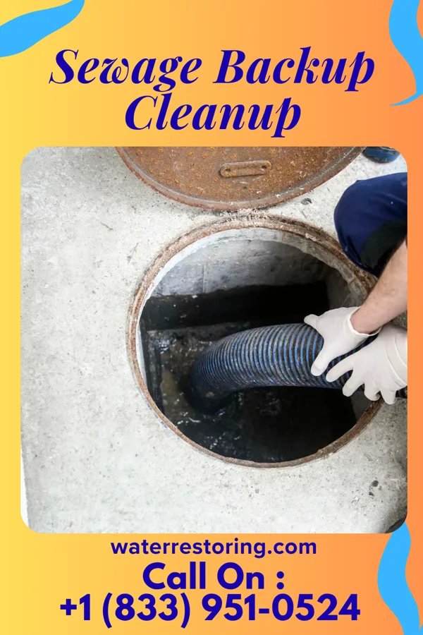Sewage Backup Cleanup in Oklee, MN