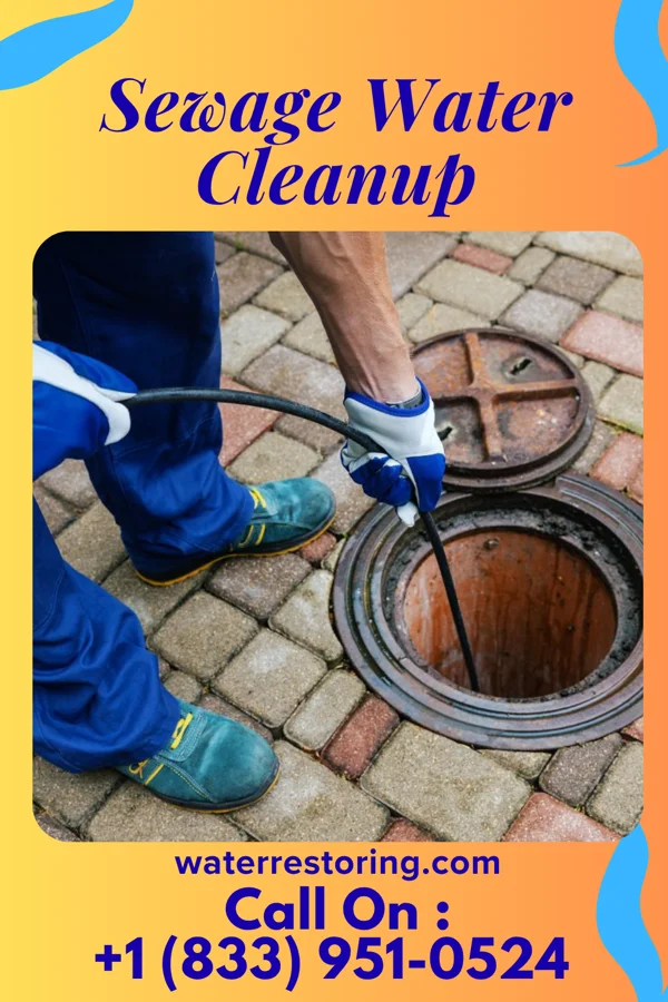 Sewage Water Cleanup in Oklee, MN