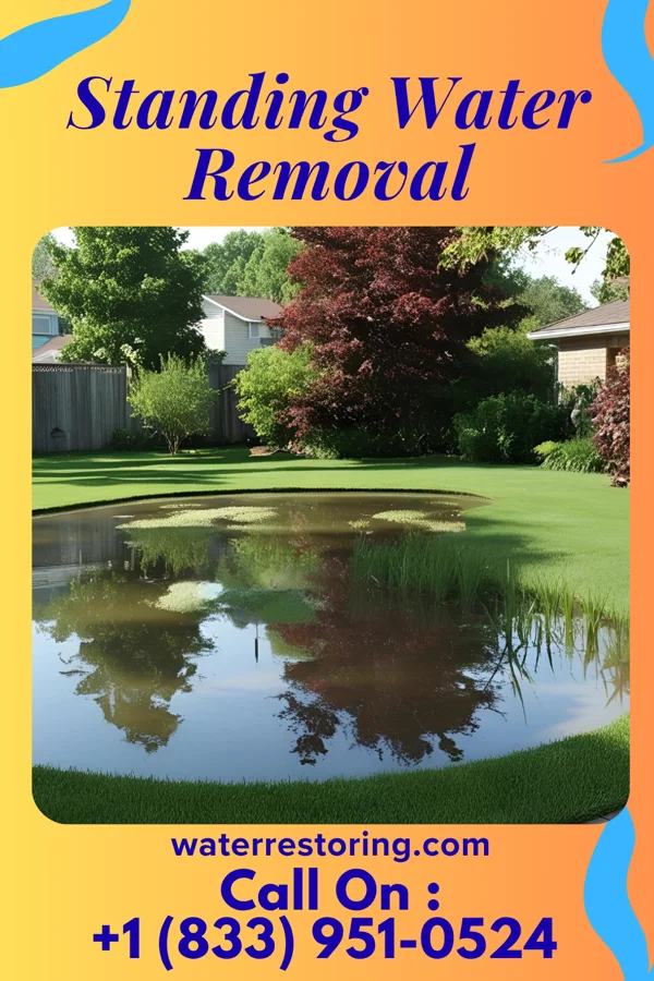 Standing Water Removal in Oklee, MN